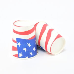 כוסות נייר דגל ארצות הברית  10 יח'