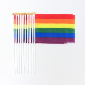 דגלונים גאווה 10 יח'