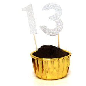 קיסם גליטר כסף 6 יח' גיל 13