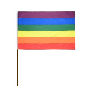 דגל בד גאווה 90*150